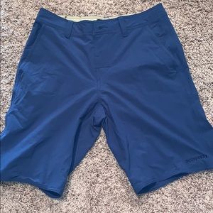 Blue Patagonia shorts
